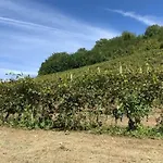 Monferrato Villa *