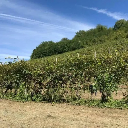 Monferrato Βίλα *
