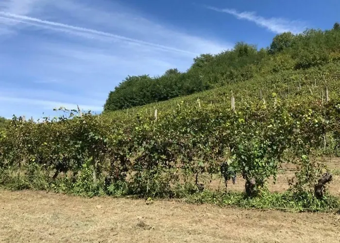 Monferrato Willa *